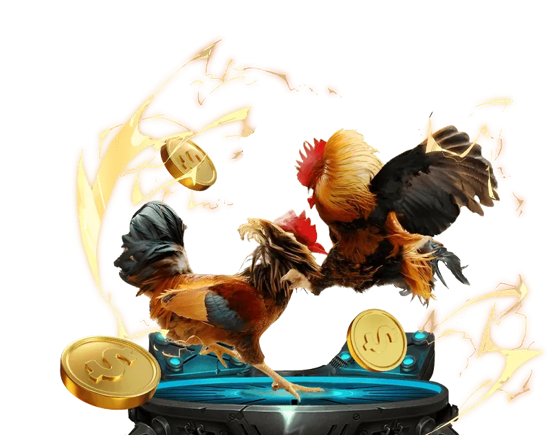 Người chơi đọc kỹ các điều khoản dịch vụ của hz88 trang chủ